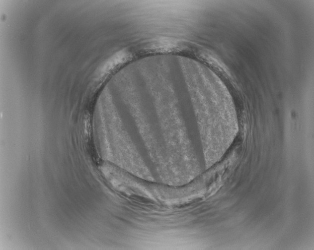 X0000061760119200512302313