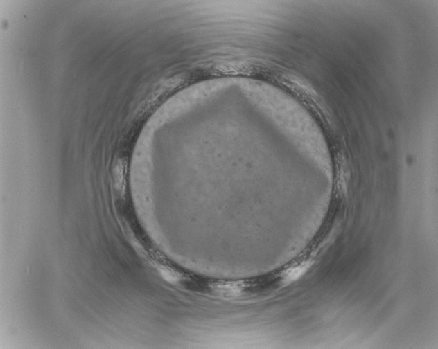 X0000061760121200512302313