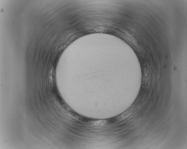 X0000061760122200512302313