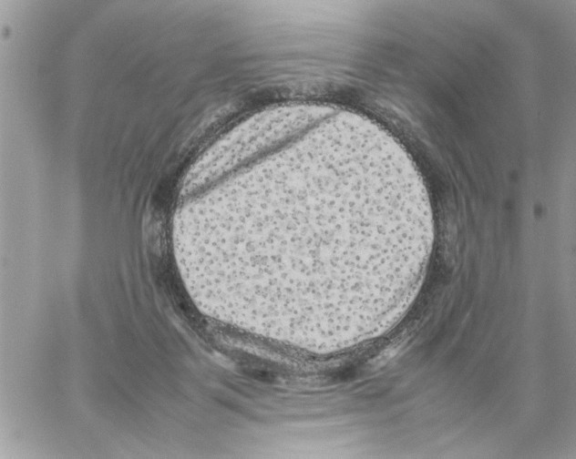 X0000061760123200512302313