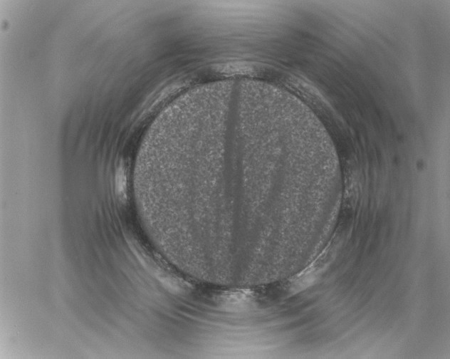 X0000061760124200512302313