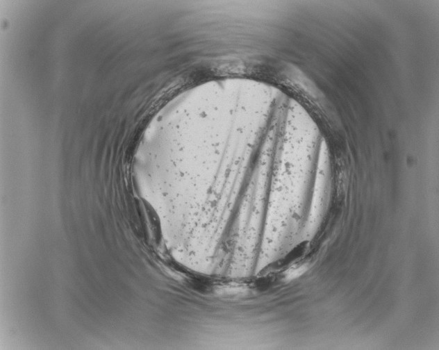 X0000061760125200512302313