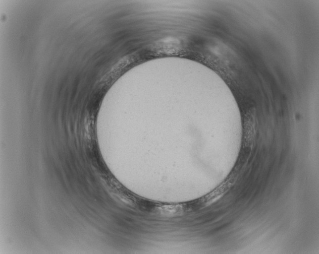 X0000061760126200512302313