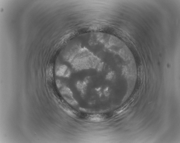 X0000061760127200512302313