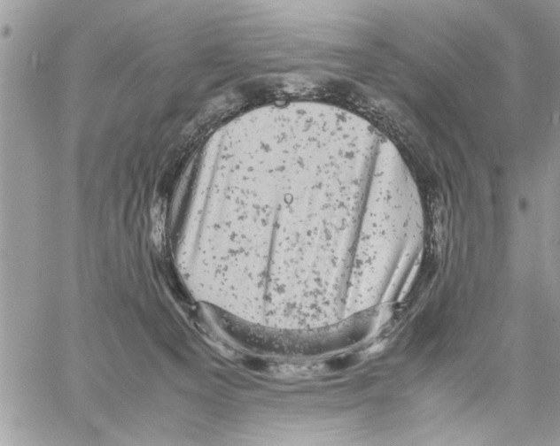 X0000061760129200512302313