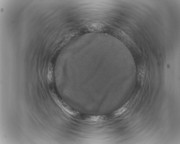 X0000061760130200512302313