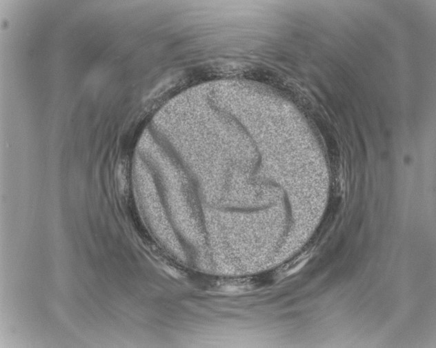 X0000061760131200512302313