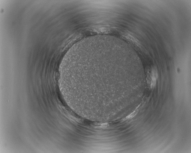 X0000061760132200512302313