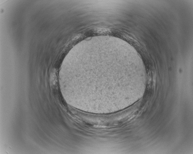 X0000061760133200512302313