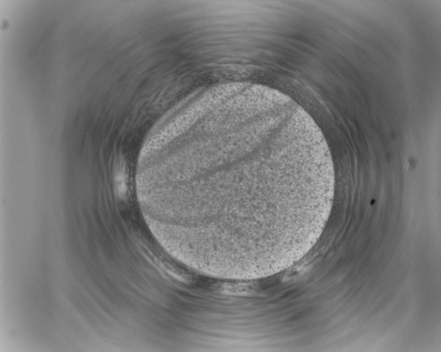 X0000061760134200512302313