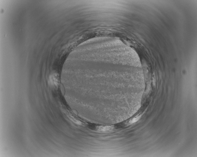 X0000061760135200512302313