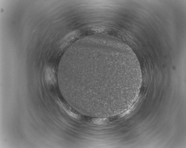 X0000061760136200512302313