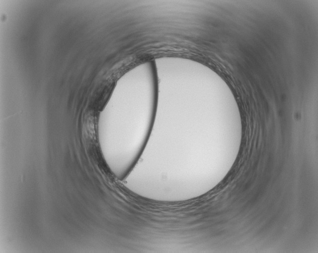 X0000061760137200512302313