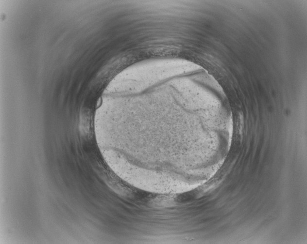 X0000061760138200512302313