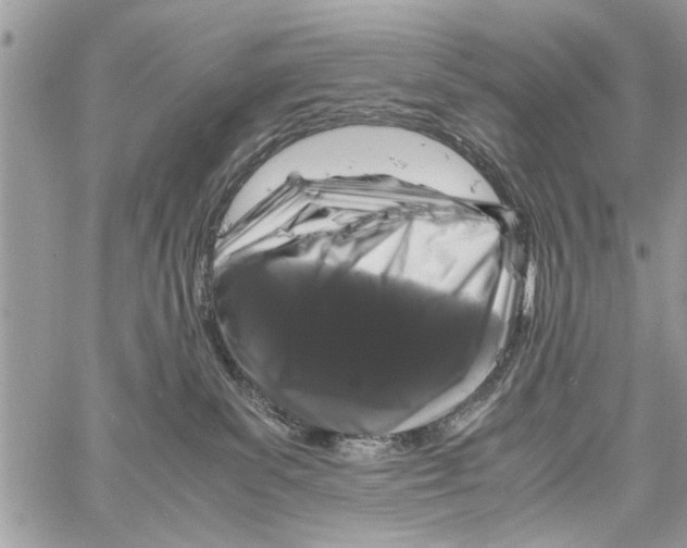 X0000061760139200512302313