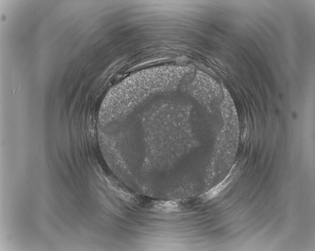 X0000061760140200512302313