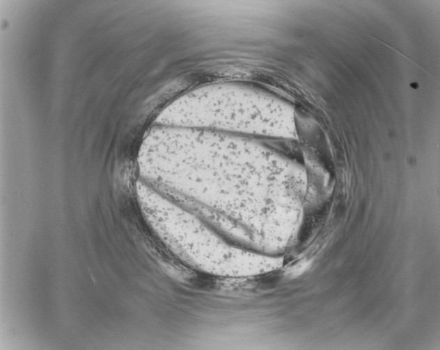 X0000061760141200512302313