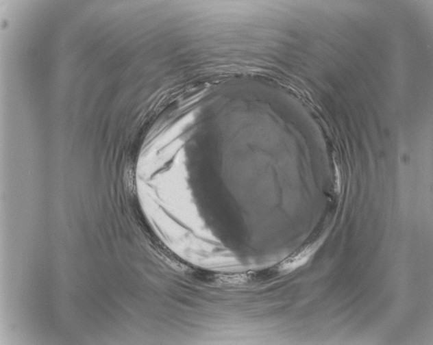 X0000061760143200512302313