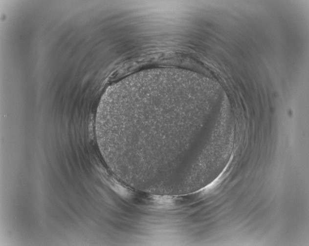 X0000061760144200512302313