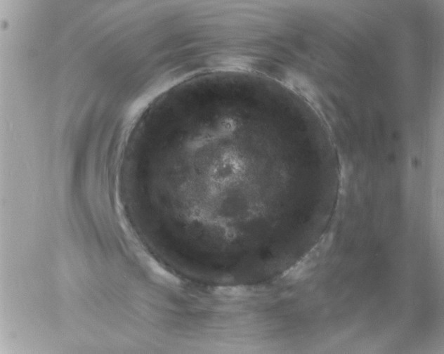 X0000061760145200512302312