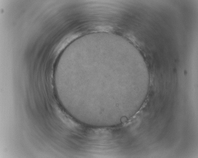 X0000061760146200512302312