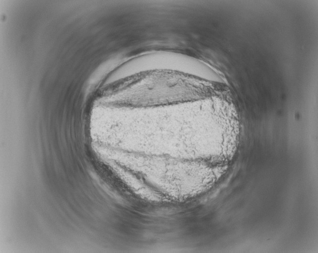 X0000061760149200512302312