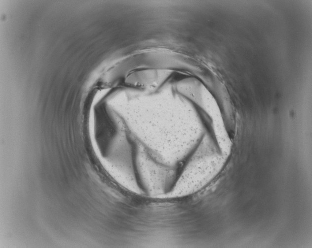 X0000061760150200512302312