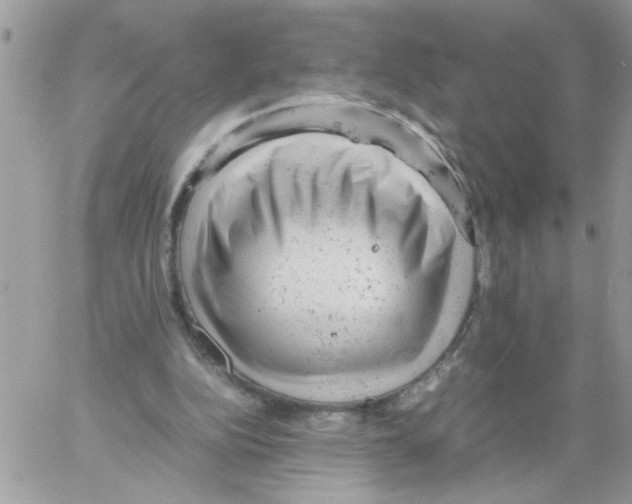 X0000061760152200512302312