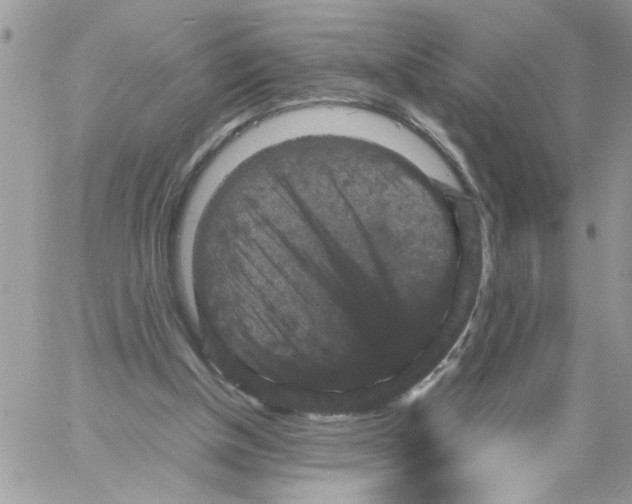 X0000061760154200512302312