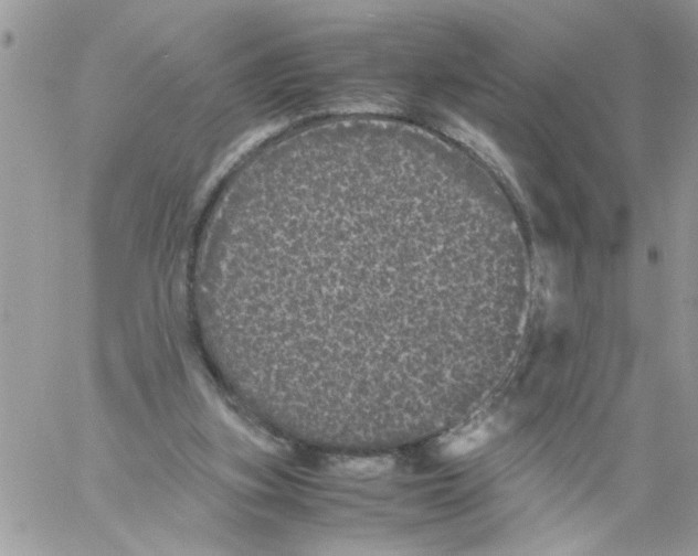 X0000061760155200512302312