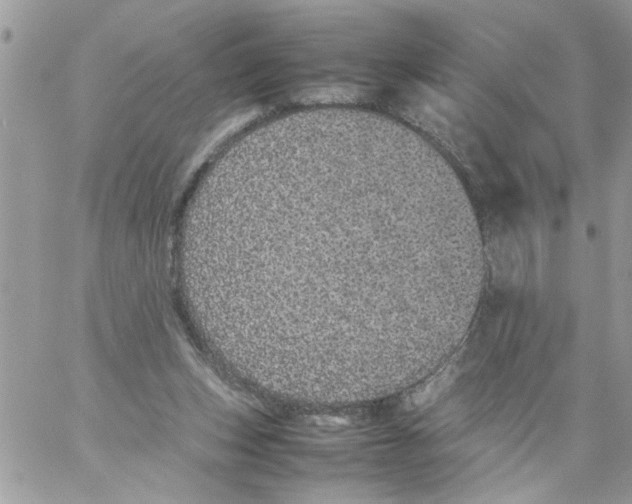 X0000061760159200512302312