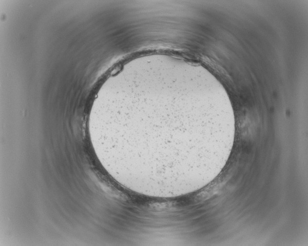 X0000061760160200512302313