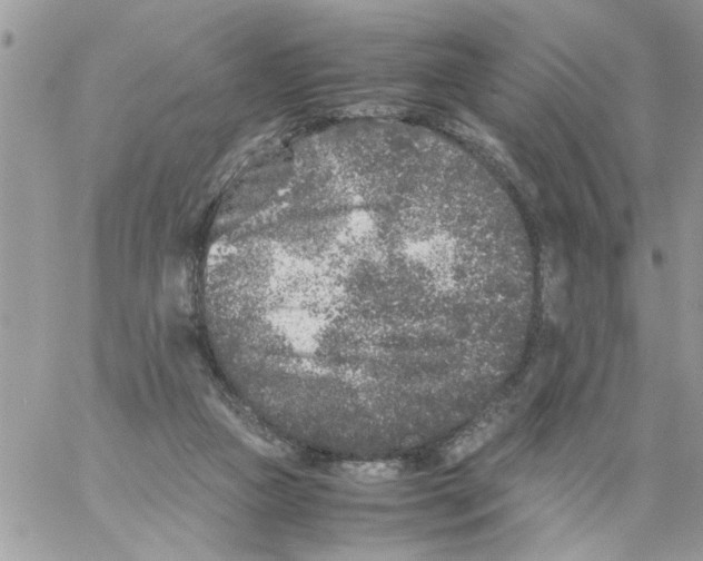 X0000061760161200512302313