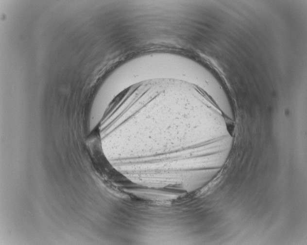 X0000061760162200512302313