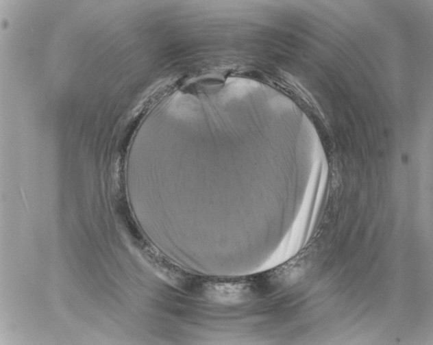 X0000061760163200512302313