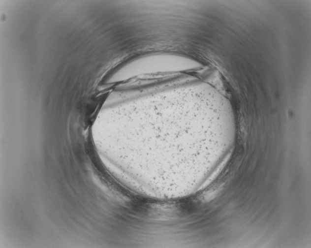 X0000061760164200512302313