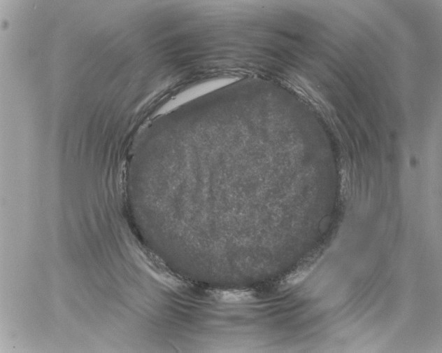 X0000061760165200512302313