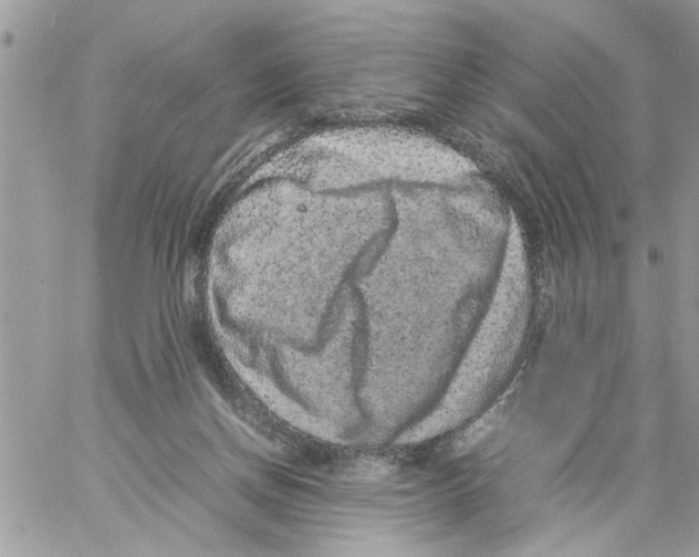 X0000061760166200512302313