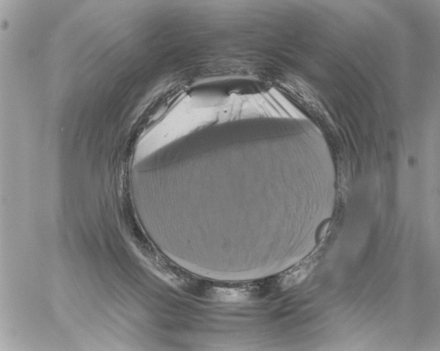 X0000061760167200512302313