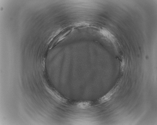 X0000061760168200512302313