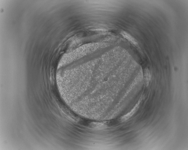 X0000061760170200512302313