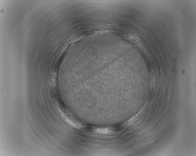 X0000061760171200512302313