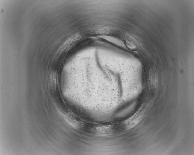 X0000061760172200512302313