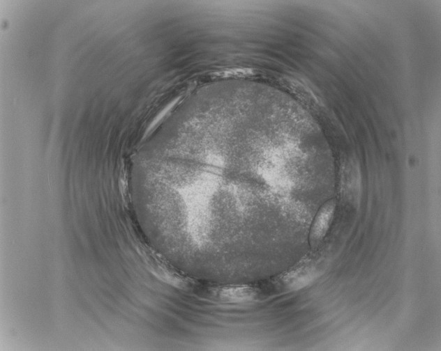 X0000061760173200512302313