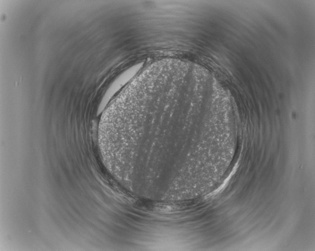 X0000061760174200512302313