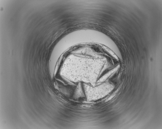 X0000061760176200512302313