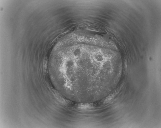 X0000061760177200512302313