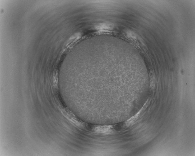 X0000061760179200512302313