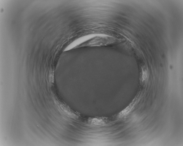 X0000061760180200512302313