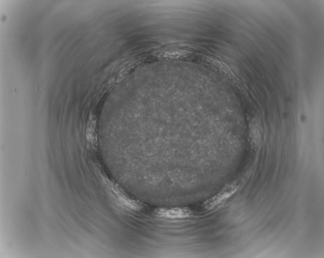 X0000061760181200512302313